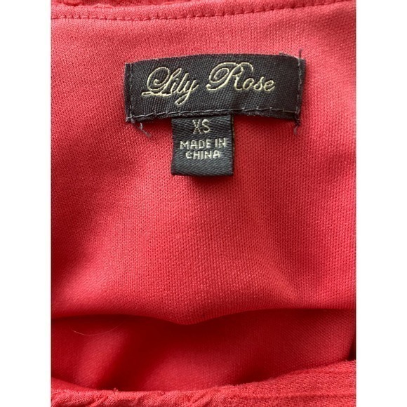 Lily Rose Skater Dress‎ - Picture 2 of 6